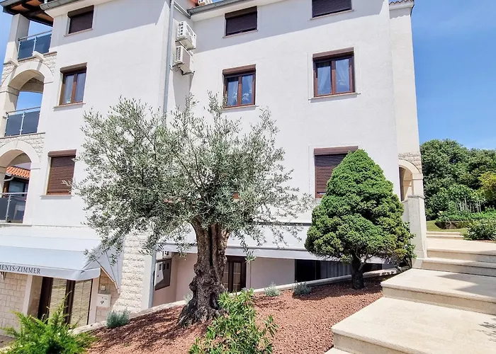 Senka * 브르사르