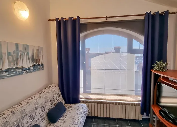 Senka * 브르사르