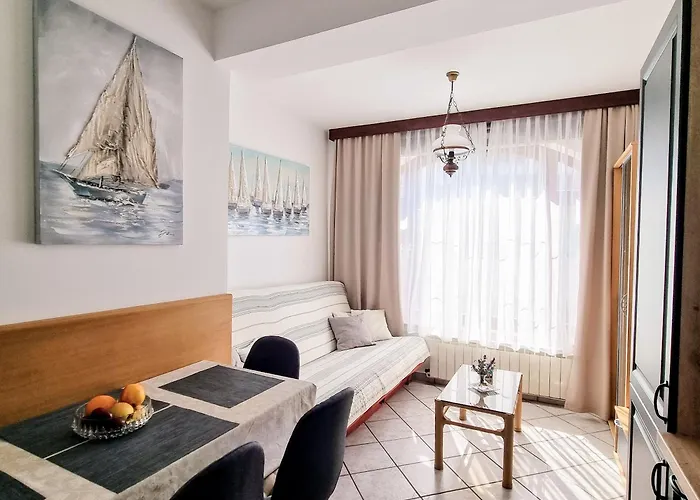 Senka * 브르사르