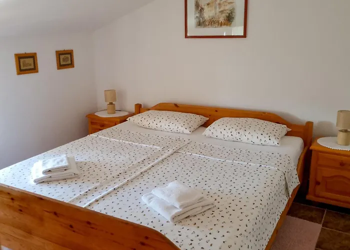 Senka * 브르사르