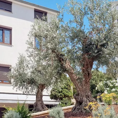 Apartman Senka *